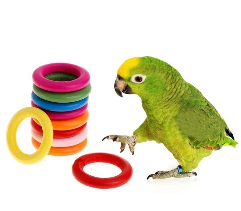 10 stuks houten ringvogelspeelgoed