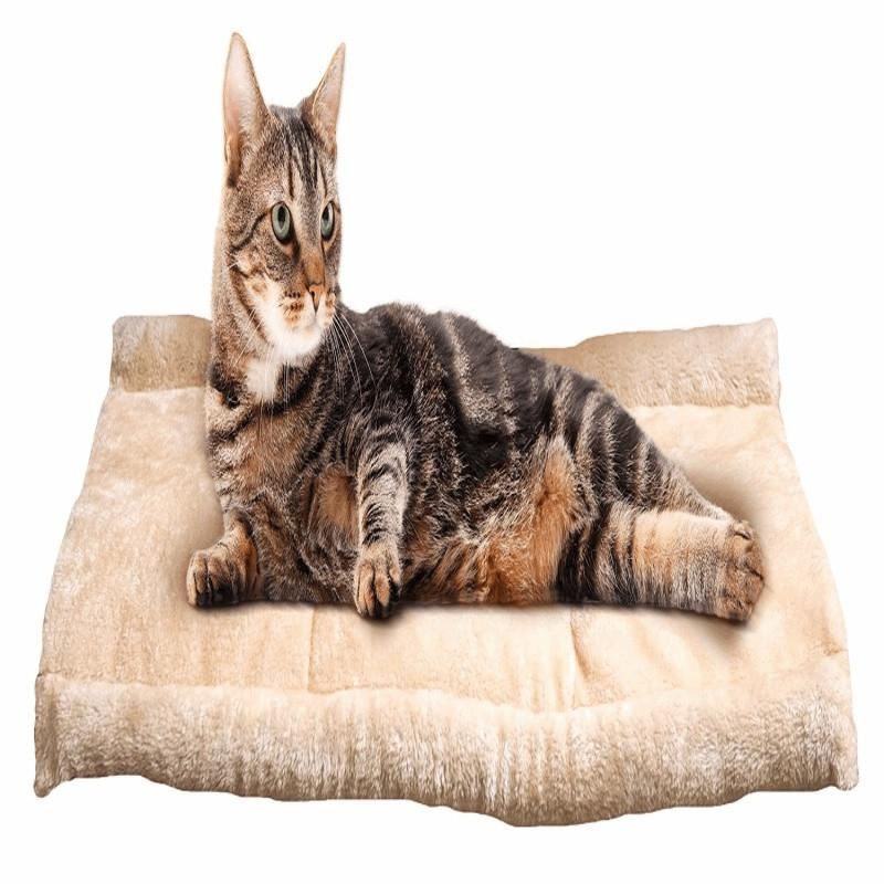 2 in 1 kattenmat en mand