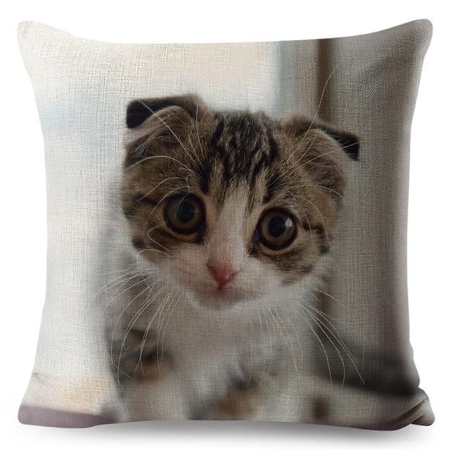 3d scottish fold kat kussensloop