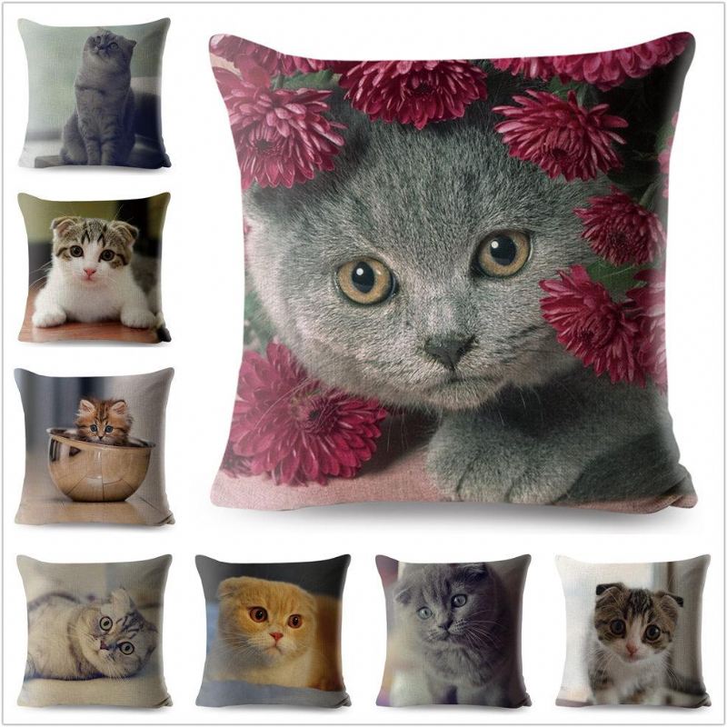 3d scottish fold kat kussensloop