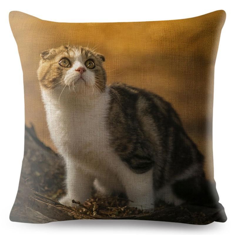 3d scottish fold kat kussensloop