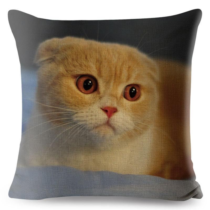 3d scottish fold kat kussensloop