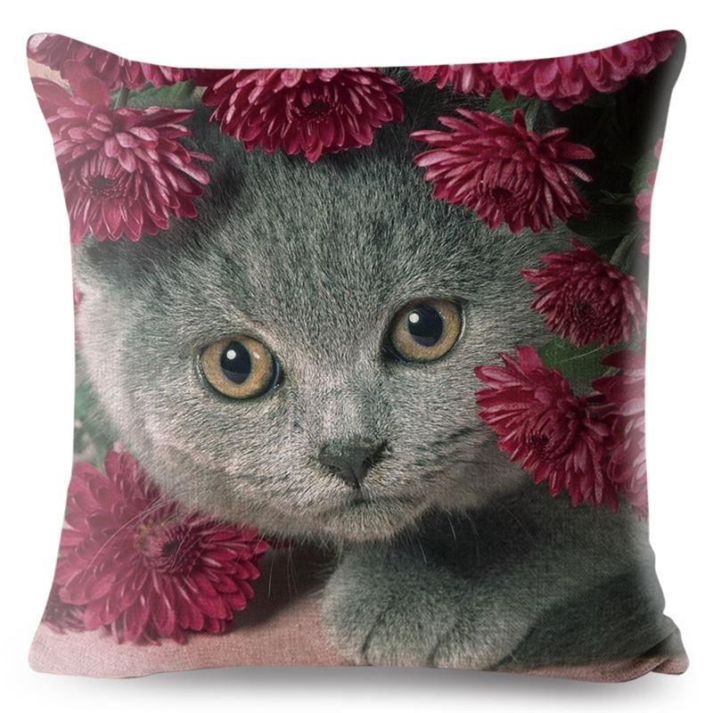 3d scottish fold kat kussensloop