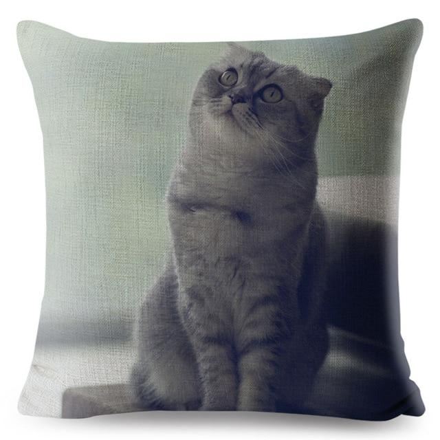 3d scottish fold kat kussensloop