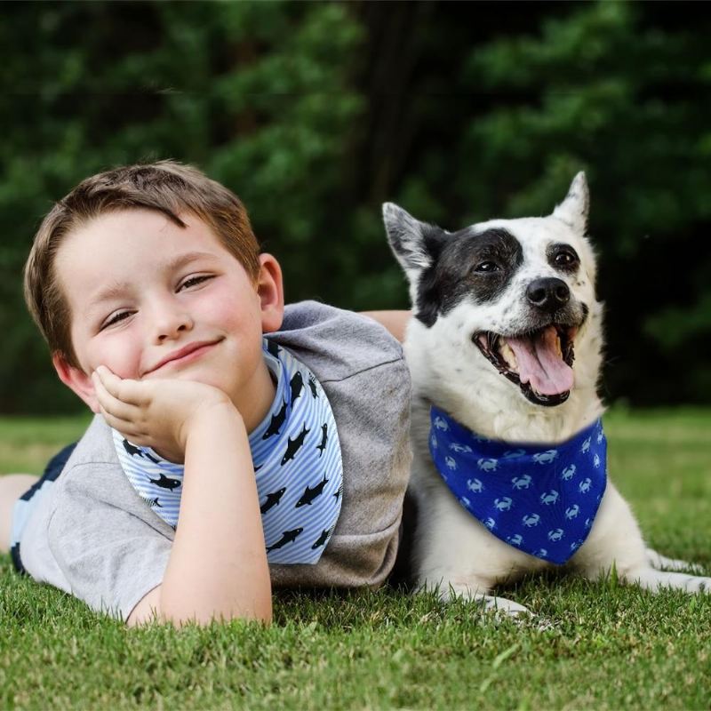 4-delige verstelbare bandana-halsbanden voor puppy's