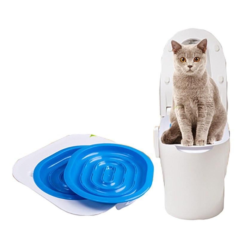 4 stappen eenvoudig te leren trainingskit voor katten-toiletzittingen