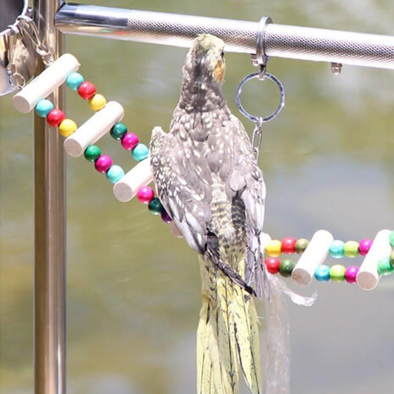 4 stijlen kleine vogels speelgoed huisdier speelgoed accessoires