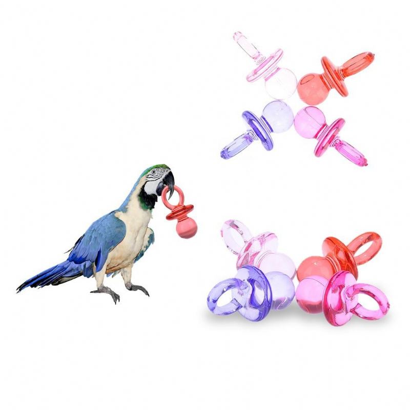 4 stuks kleurrijke fopspeenvogelspeelgoed met willekeurige kleuren