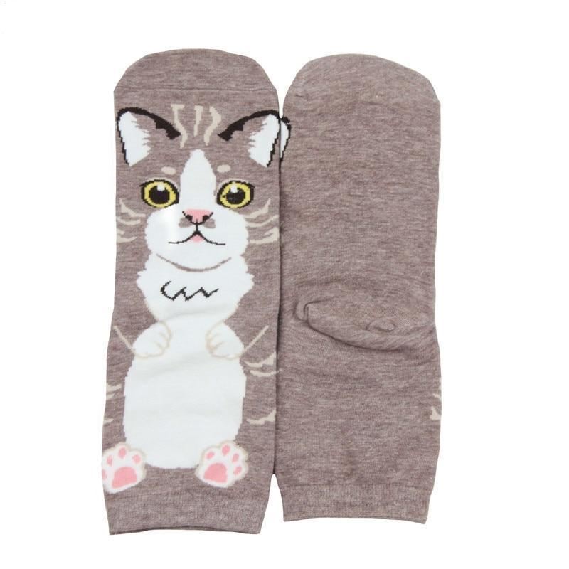 5 paar sokken in grappige kattenstijl