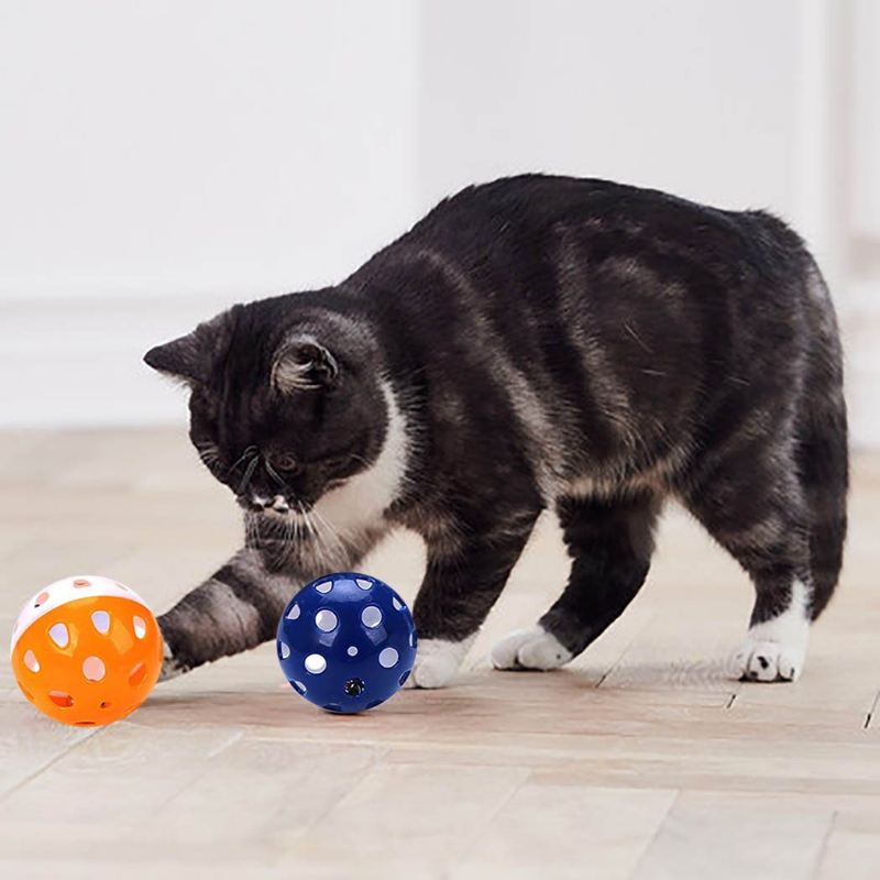 5 stuks kattenspeelgoedballen met belring