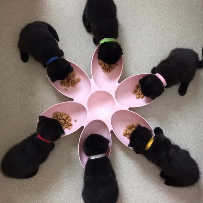 6 in 1 voerbak voor puppy's