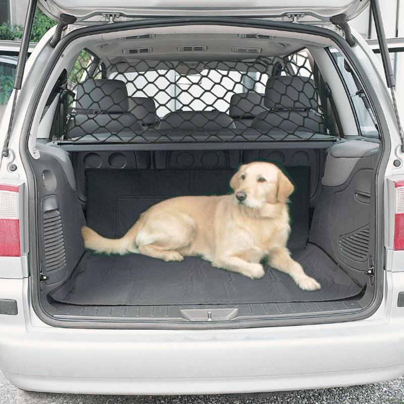 auto isolatie barrière huisdier net