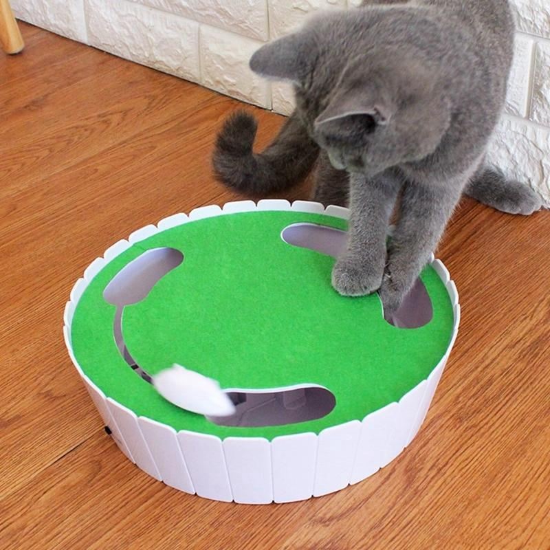 automatisch roterende kat spelen teaser plaat