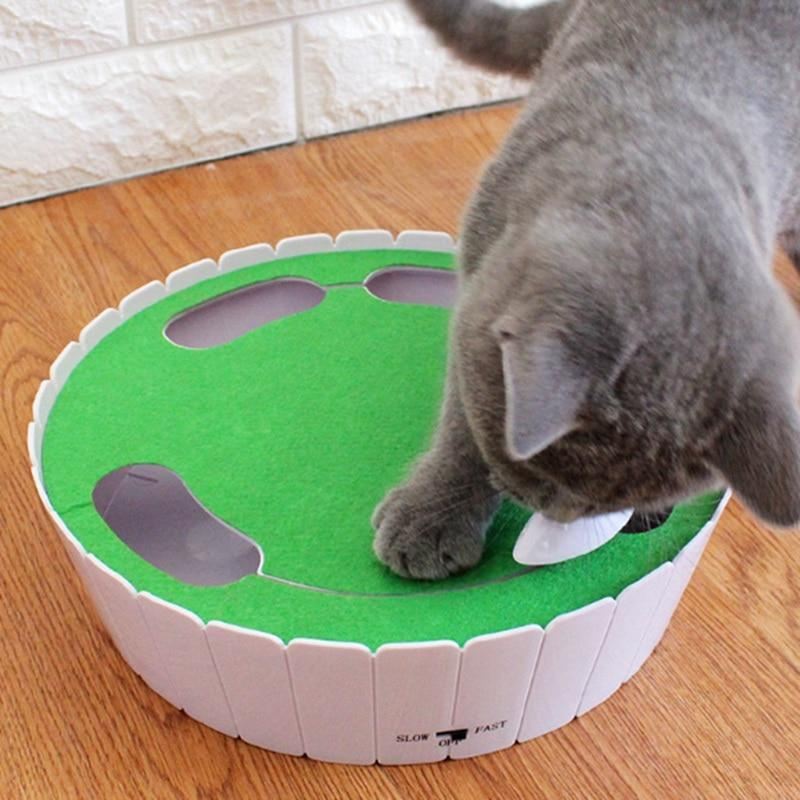 automatisch roterende kat spelen teaser plaat