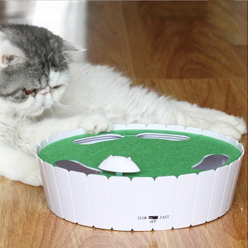 automatisch roterende kat spelen teaser plaat
