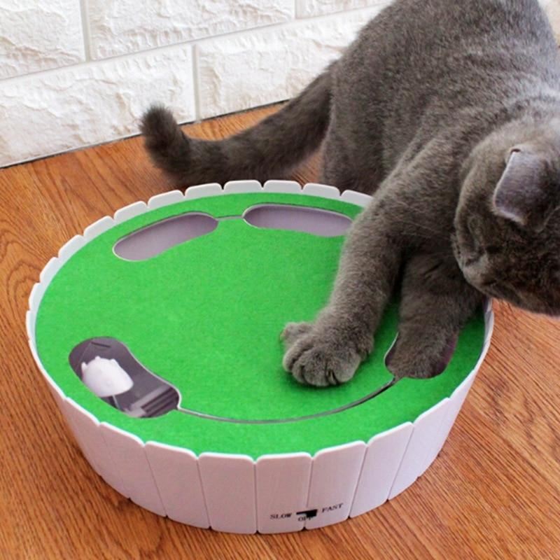 automatisch roterende kat spelen teaser plaat