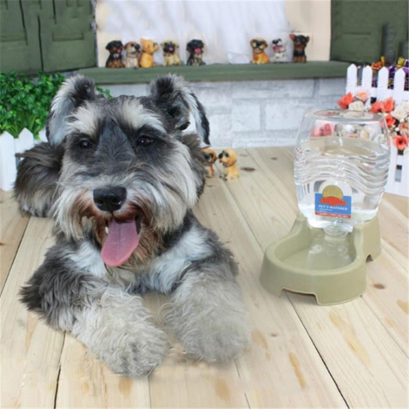 automatische drinkfontein voor huisdieren