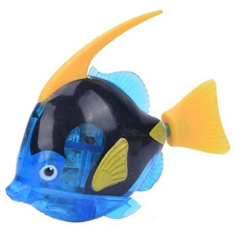 angelfish dark blue