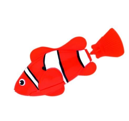  clownfish red