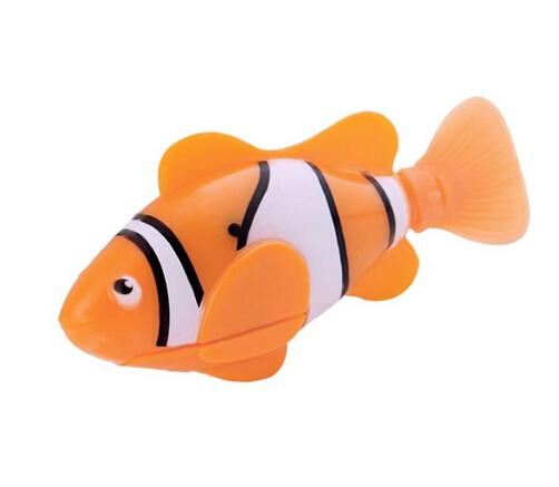  clownfish orange