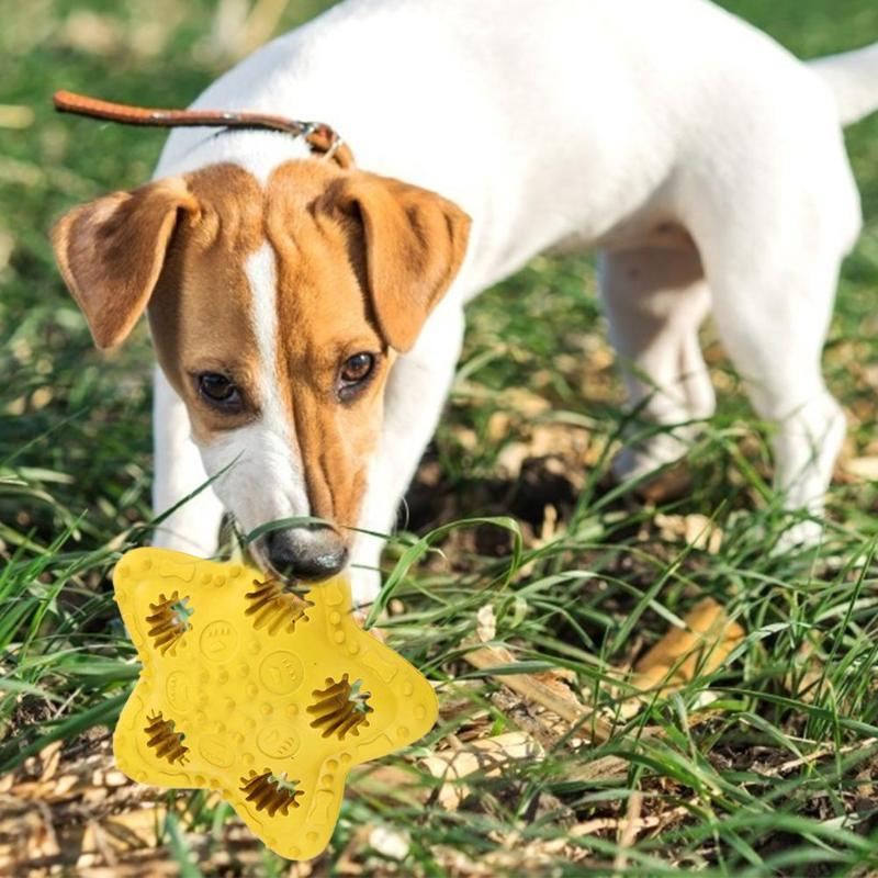 bijtbestendig bijtspeeltje voor huisdieren