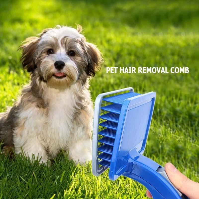 borstel voor het verwijderen van haren voor huisdieren