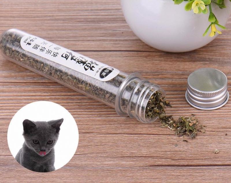 cats-go-crazy menthol-smaak kat traktatiespeelgoed kattenkruid
