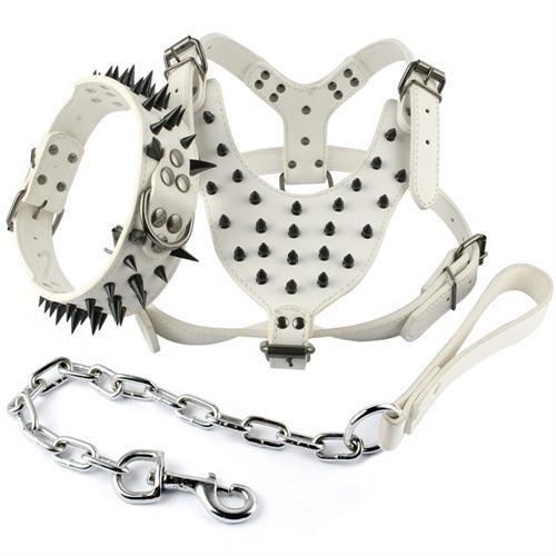 coole lederen halsband en riem met spikes en studs