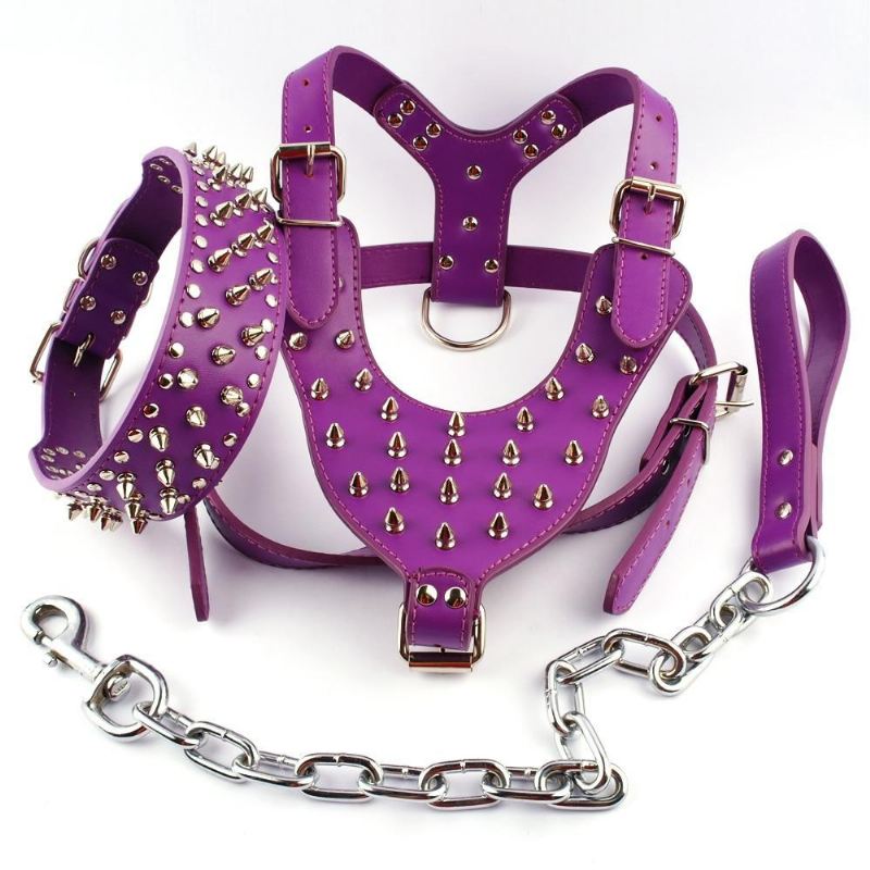 coole lederen halsband en riem met spikes en studs