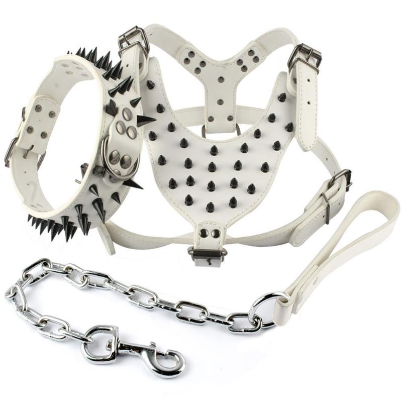 coole lederen halsband en riem met spikes en studs