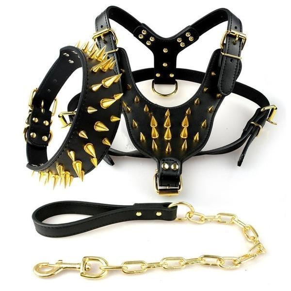 coole lederen halsband en riem met spikes en studs