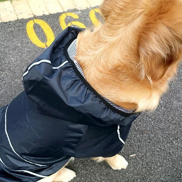 coole regenjas voor huisdieren