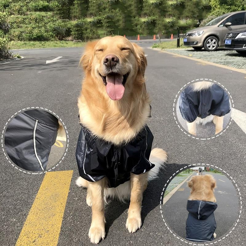 coole regenjas voor huisdieren