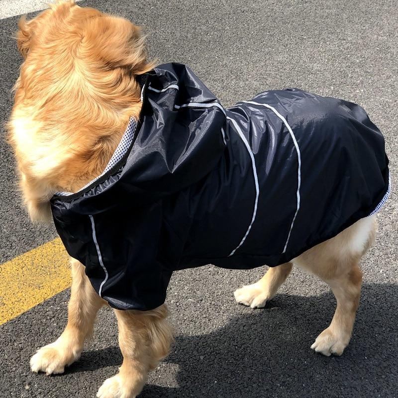 coole regenjas voor huisdieren