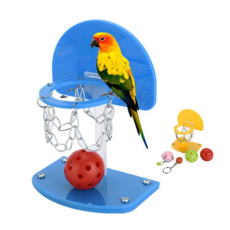 creatieve basketbalstandaard voor papegaaien