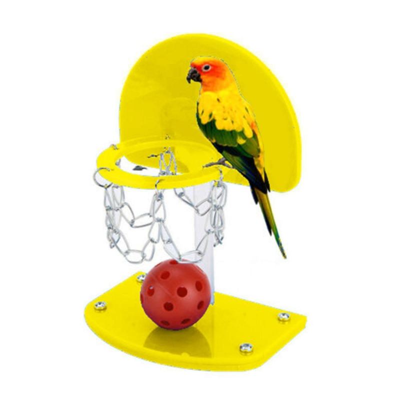 creatieve basketbalstandaard voor papegaaien