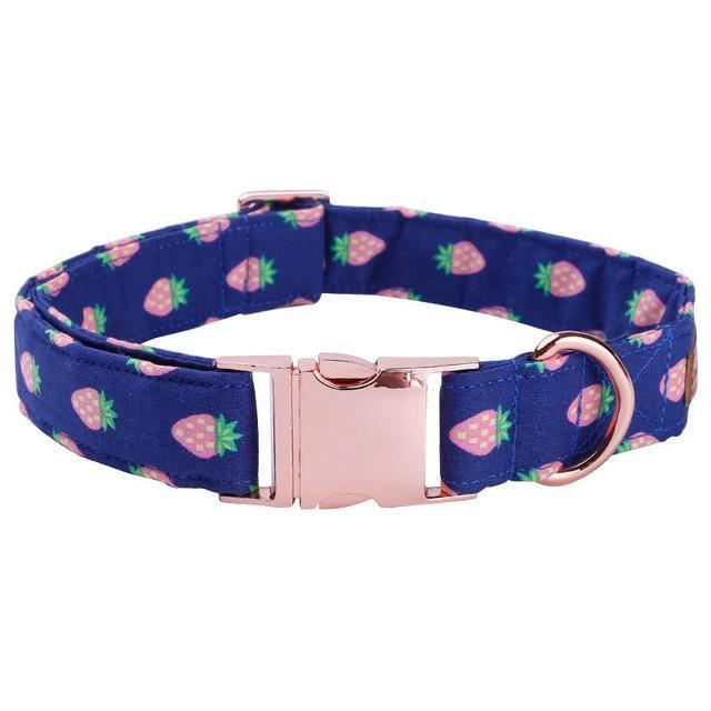 de aardbeienmode huisdierenset van halsband en riem