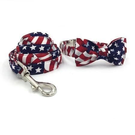de amerikaanse mode-huisdierenset met halsband en riem