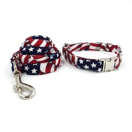de amerikaanse mode-huisdierenset met halsband en riem