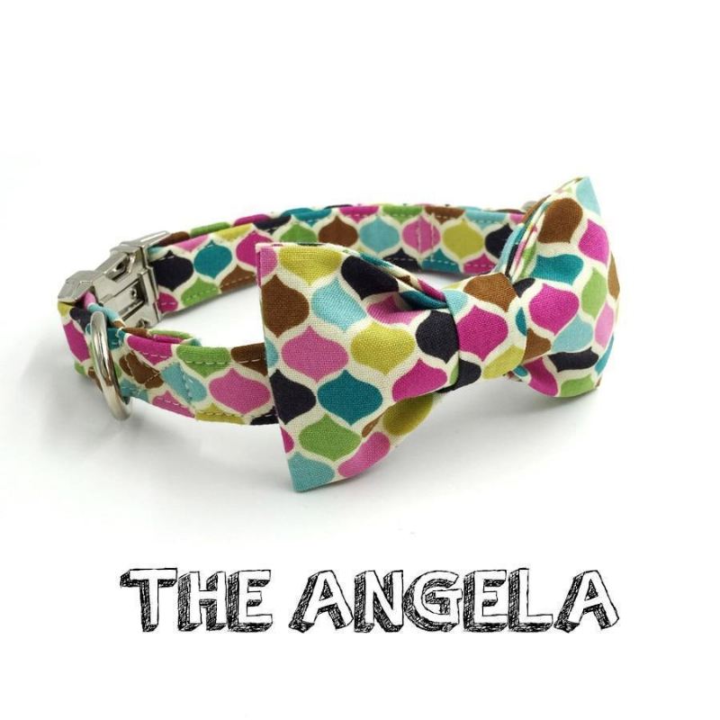 de angela fashion huisdierenset met halsband en riem