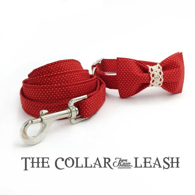 de fantastische rode fashion huisdierenset met halsband en riem