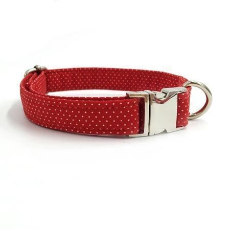 de fantastische rode fashion huisdierenset met halsband en riem