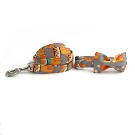 de fox fashion pet-set met halsband en riem