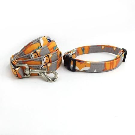 de fox fashion pet-set met halsband en riem