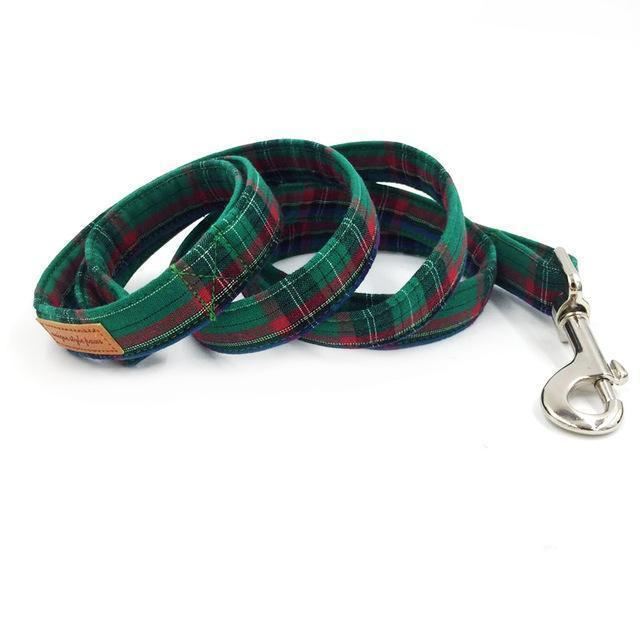 de groene geruite mode-huisdierenset van halsband en riem