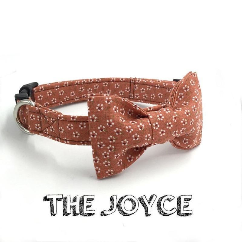 de joyce fashion huisdierenset met halsband en riem