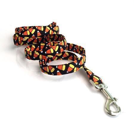 de kleine pompoenmode huisdierenset met halsband en riem