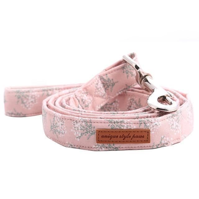 de mooie roze modieuze huisdierenset met halsband en riem