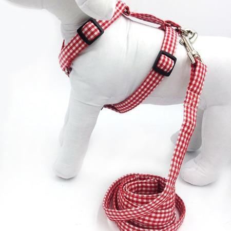 de pittige rode mode-huisdierenset met halsband en harnas