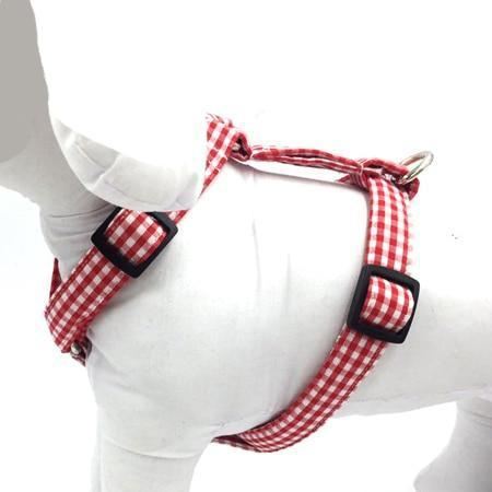 de pittige rode mode-huisdierenset met halsband en harnas